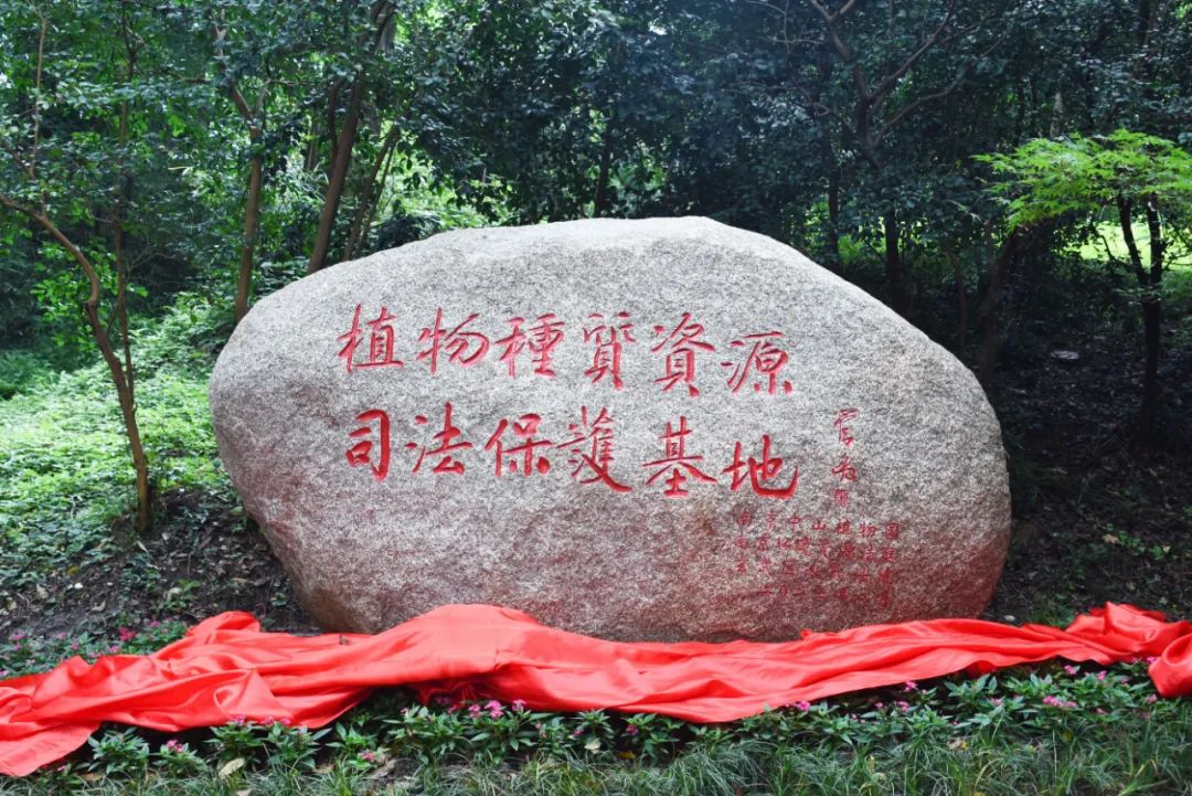【新华日报】全国首个!江苏法院与植物学家联手干了“这件大事”