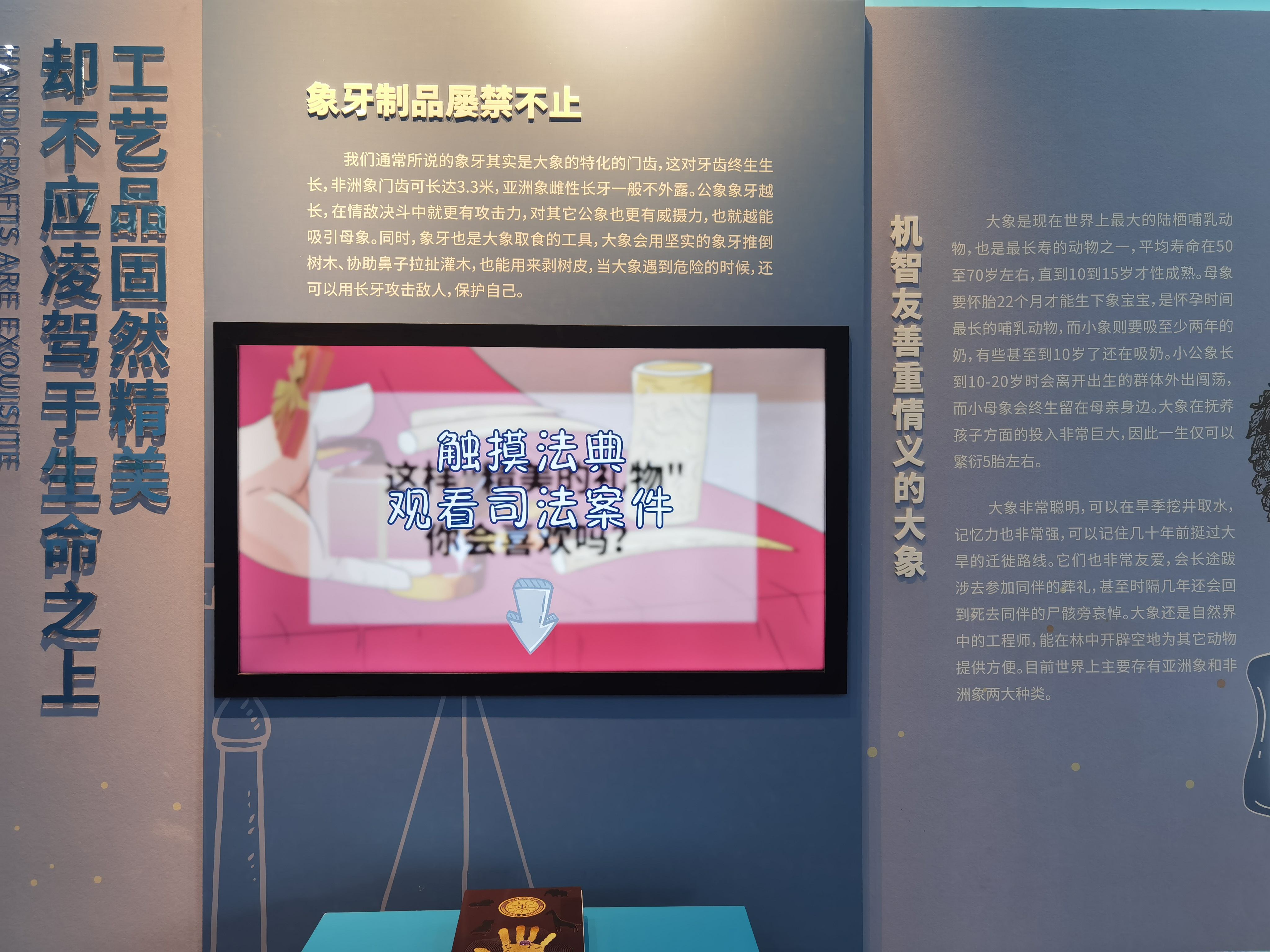 动物保护科普+法治融合宣传！全国首个生物多样性司法保护馆在宁启用