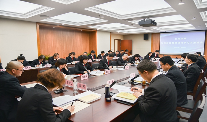 玄武法院召开队伍教育整顿理论学习及工作推进会