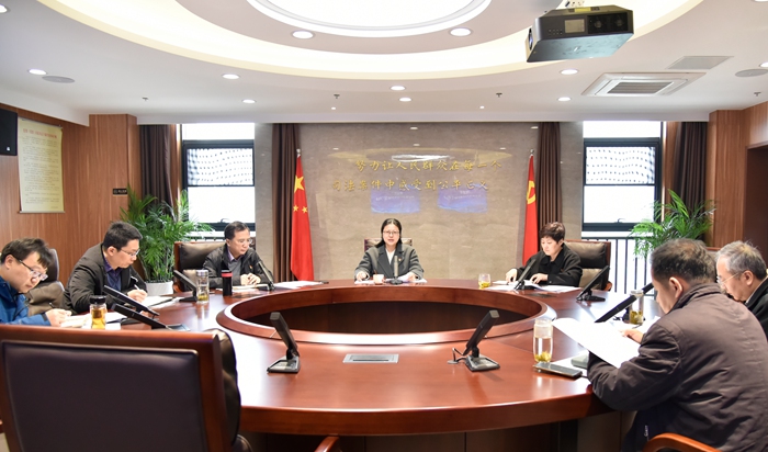 玄武法院传达学习贯彻习近平总书记重要讲话和全国两会精神