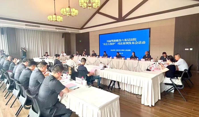 南京玄武法院参加“同饮长江水 共抓大保护”川渝鄂湘赣苏六基层法院“长江大保护”司法案例发布活动