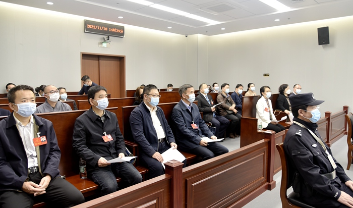 市区两级人大代表赴玄武法院“点案旁听”案件庭审