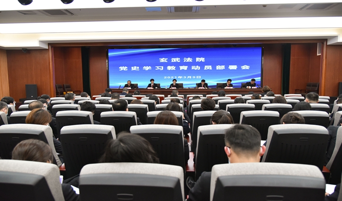 玄武法院召开党史学习教育动员部署会