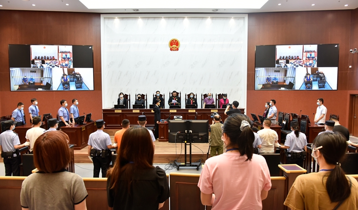 【世界环境日】严惩涉野生动物犯罪 共建清洁美丽世界