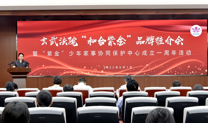 玄武法院举办“和合紫金”品牌推介会暨“紫金”少年家事协同保护中心成立一周年活动