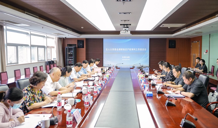 区人大常委会专题调研玄武法院知识产权审判工作