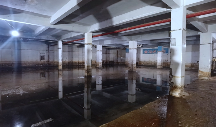 为群众办实事 | 顺畅联动——部门协作共发力，22年车库终清理