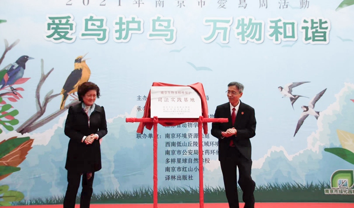 护绿色工程，展司法担当