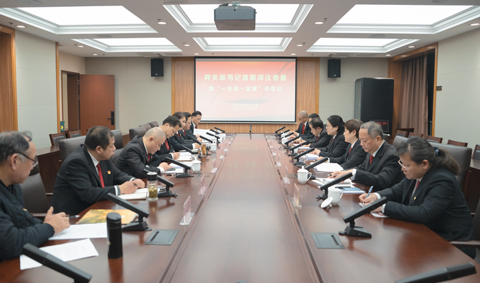 玄武法院召开2023年度党支部书记述职评议考 暨“一支部一品牌”评审会