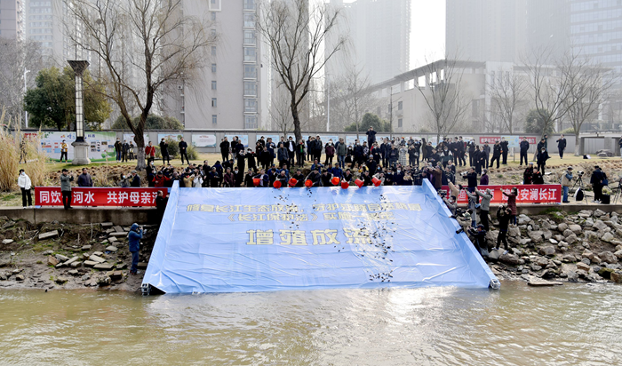 播洒万点金鳞 守护一江碧水