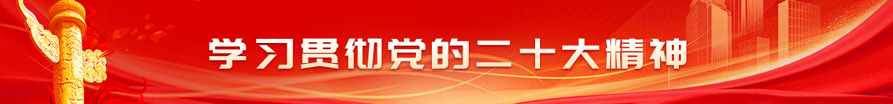 学习贯彻党的二十精神