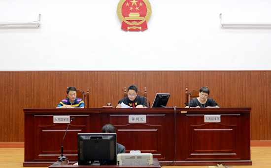 玄武法院邀请人大代表旁听一起股权转让纠纷庭审