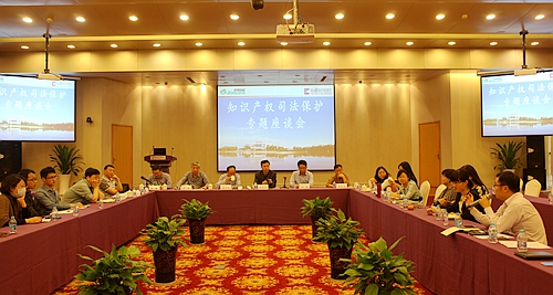 玄武法院知产庭在先声药业举办知识产权司法保护专题座谈会