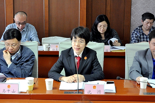 玄武区人大常委会审议玄武法院民事审判工作报告
