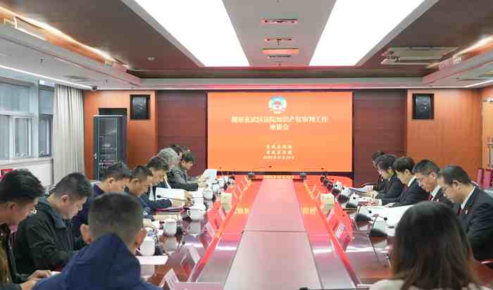 玄武区政协视察区法院知识产权审判工作
