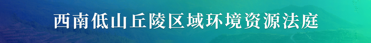 西南环境资源法庭