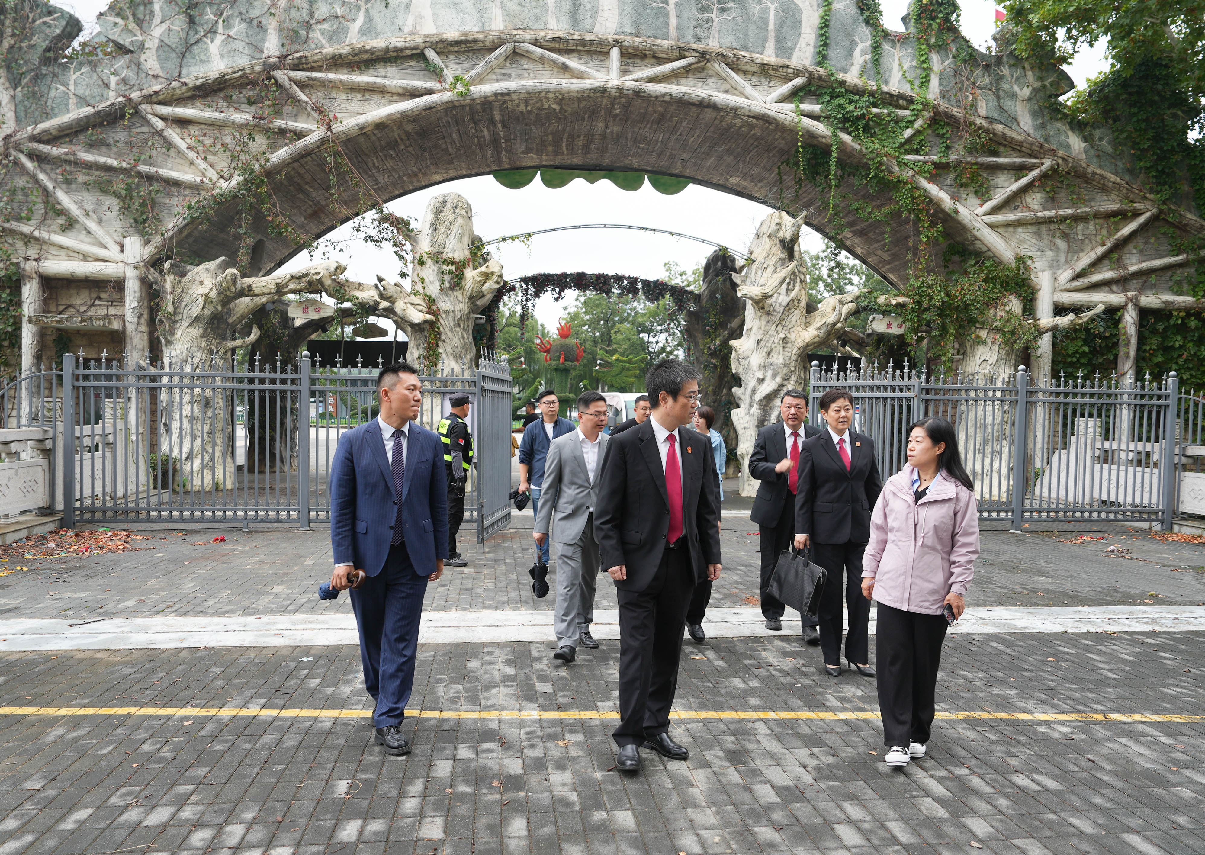 玄法为“宁”丨南京中院人大报告中的玄武元素