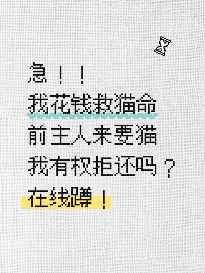 我救的猫，原主来要，能不给吗？